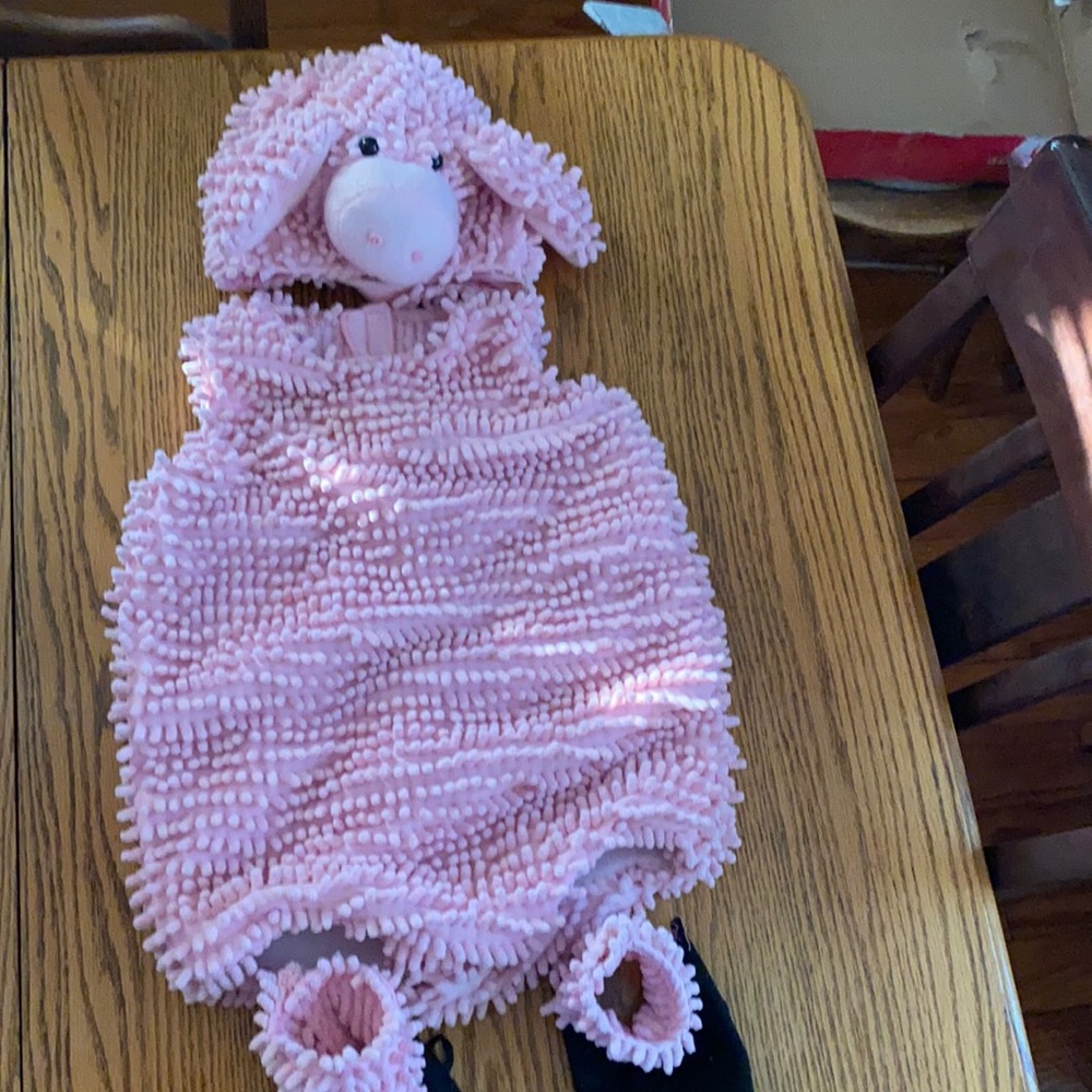 Little Piggy costume.